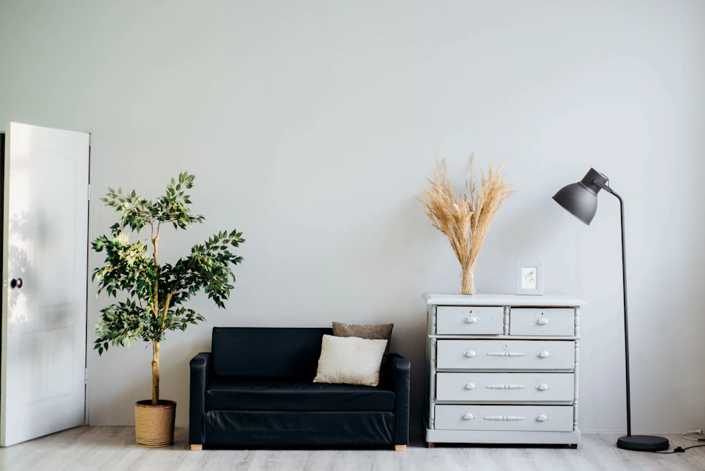 Calm living room with a sofa, plant and dresser