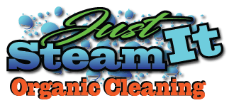 San Antonio Floor Cleaners | Tile, Grout, Upholstery & Carpet Cleaners Logo